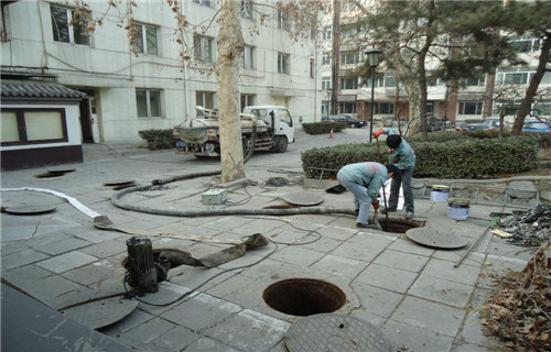 金凤清理化粪池,管道清洗,污水池清掏